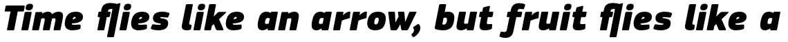 PF Square Sans Pro Extra Black Italic