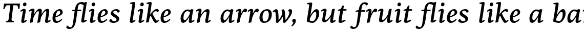 PF Centro Serif Pro Medium Italic