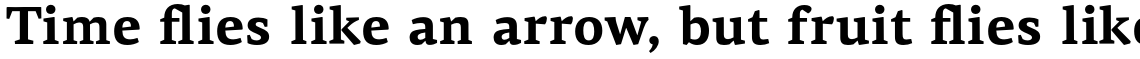 PF Centro Serif Pro Bold