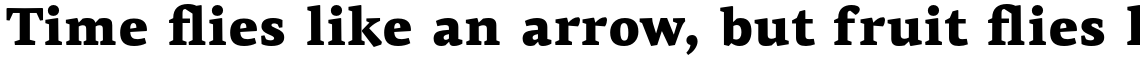 PF Centro Serif Pro Black