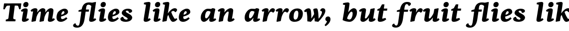 PF Centro Serif Pro Black Italic