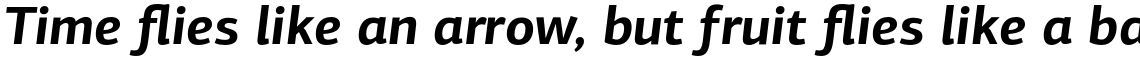 PF Centro Sans Pro Bold Italic