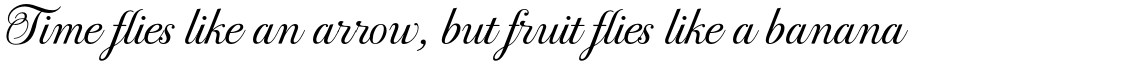 PF Bodoni Script Pro Light