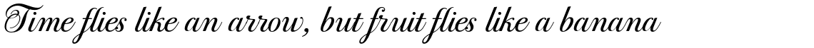 PF Bodoni Script Pro Regular