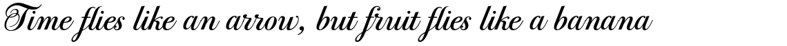PF Bodoni Script Pro Bold