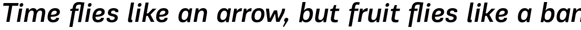 PF Encore Sans Pro Medium Italic