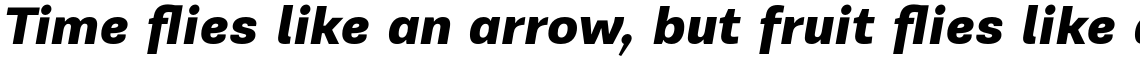 PF Encore Sans Pro Black Italic