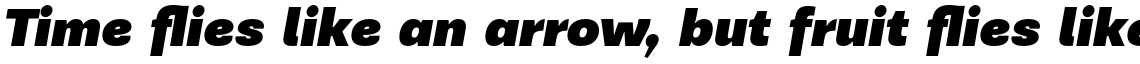 PF Encore Sans Pro Ultra Black Italic
