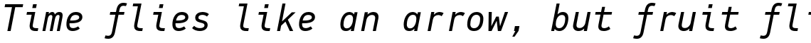 PF DIN Mono Regular Italic