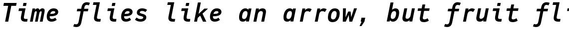 PF DIN Mono Medium Italic