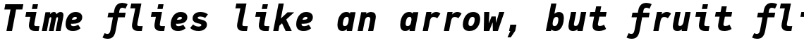 PF DIN Mono Bold Italic