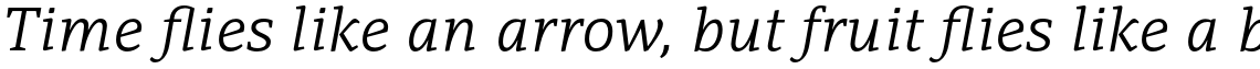 PF Adamant Pro Light Italic