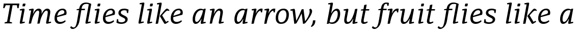 PF Adamant Pro Regular Italic