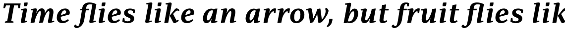 PF Adamant Pro Bold Italic