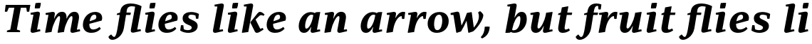 PF Adamant Pro xBold Italic