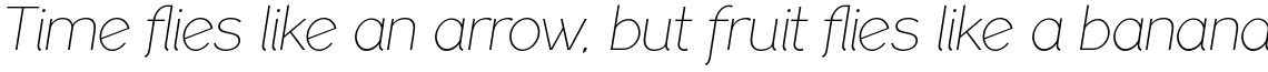 PF Lindemann Sans Ultra Light Italic
