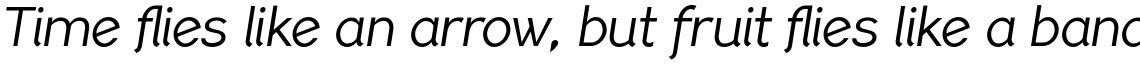 PF Lindemann Sans Book Italic