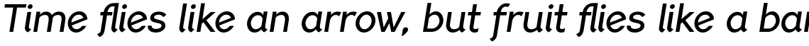 PF Lindemann Sans Medium Italic