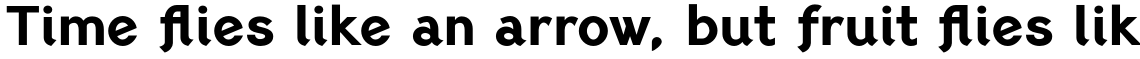 PF Lindemann Sans Extra Bold