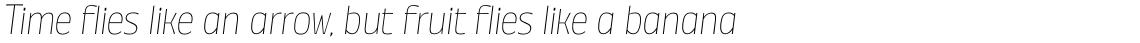 Annuario Thin Italic