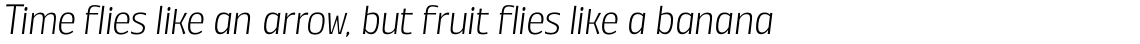 Annuario Light Italic