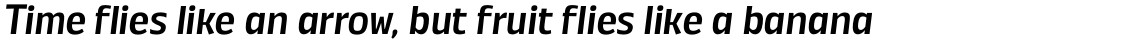 Annuario Medium Italic