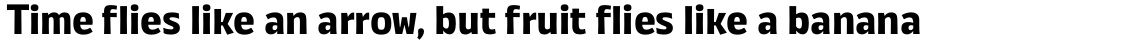 Annuario Bold