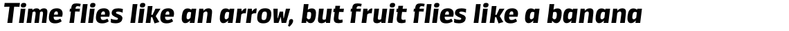 Annuario Bold Italic