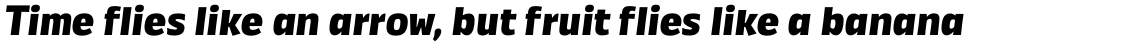 Annuario Black Italic