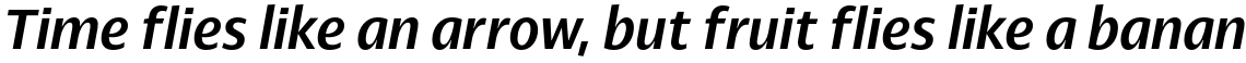 Cena Medium Italic