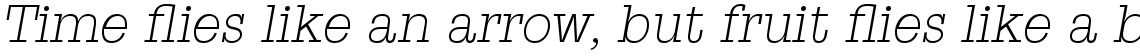 Suomi Slab Serif Light Italic