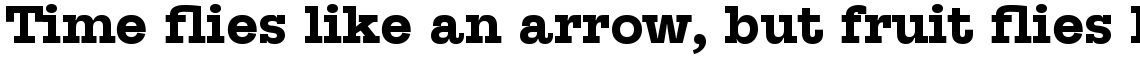 Suomi Slab Serif Bold