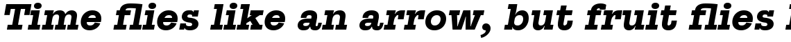 Suomi Slab Serif Bold Italic