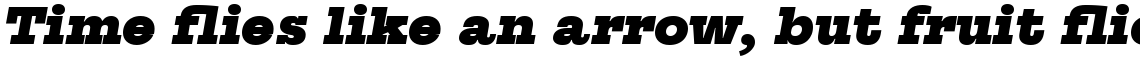 Suomi Slab Serif Black Italic
