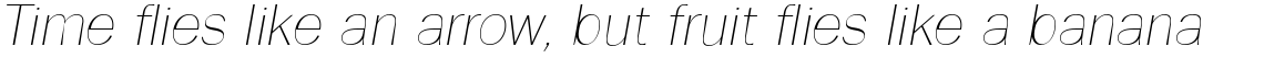 Tee Franklin Thin Oblique