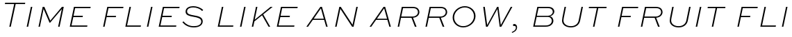 Sweet Sans Thin Italic SC