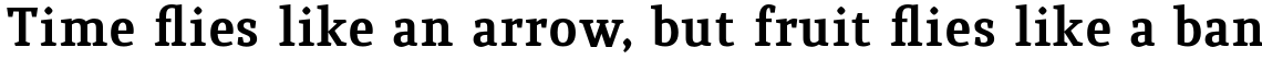 Quiroga Serif Pro Bold
