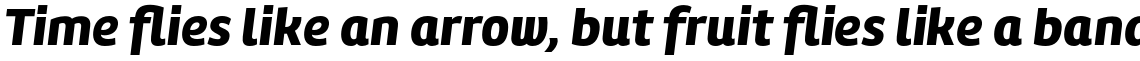 Amelia Black Italic