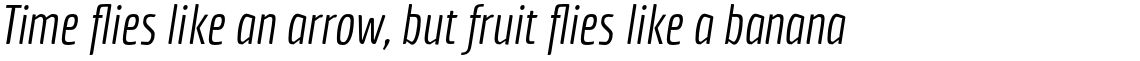 Economica Italic