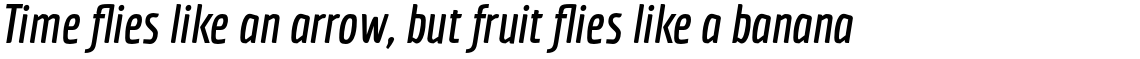 Economica Bold Italic