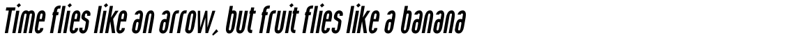 Wurz Book Italic
