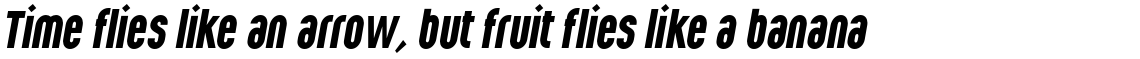Wurz Bold Italic