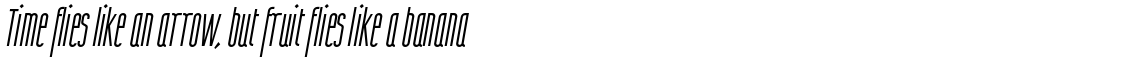 Wurz UP Thin Italic