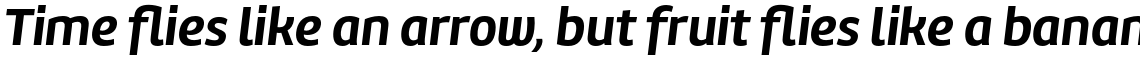 Marine Bold Italic