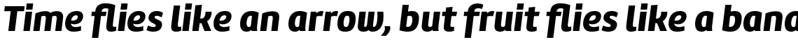 Marine Black Italic