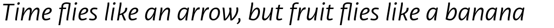 Libertad Book Italic