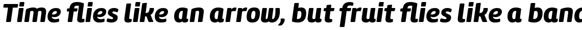 Amelia Rounded Black Italic