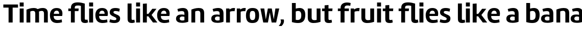 Amelia Basic Bold