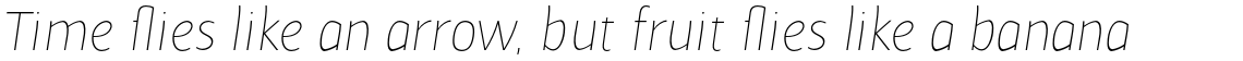 Cavita Thin Italic