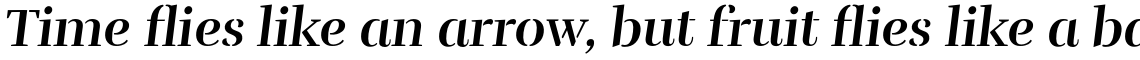 Rufina Stencil Bold Italic